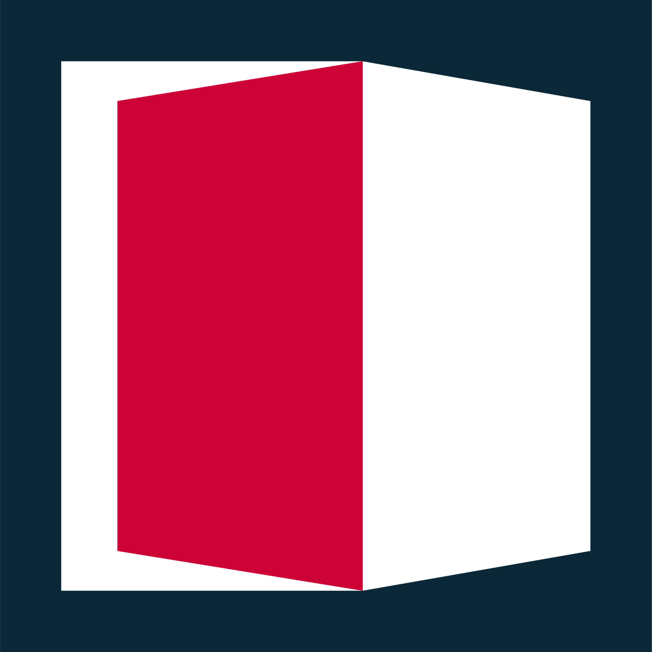 RAM Logo